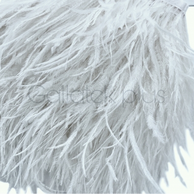 ����� ���� -�����