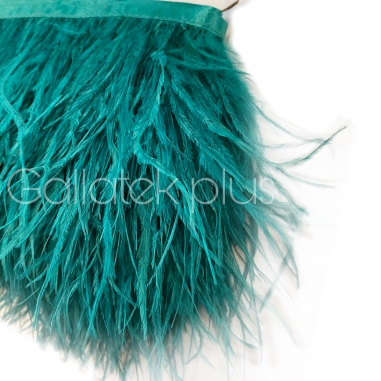 ����� ������� �� ����� , ���� ������� , ��� �� 10 �