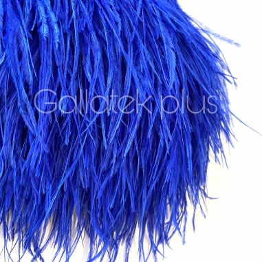 ����� ����-������