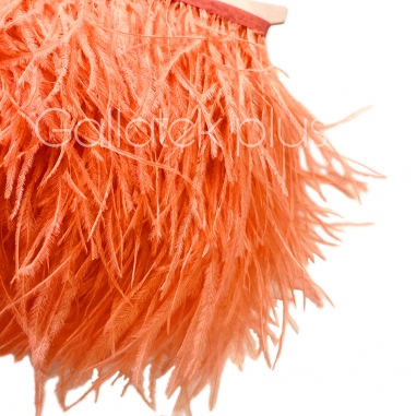 ����� �� ����� 10-15 ��, ����������