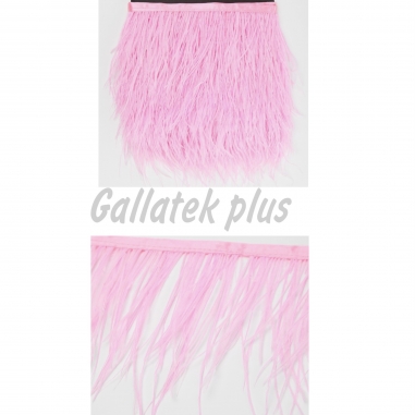 ����� ����-�������