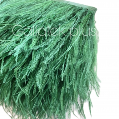 ����� ����-�������