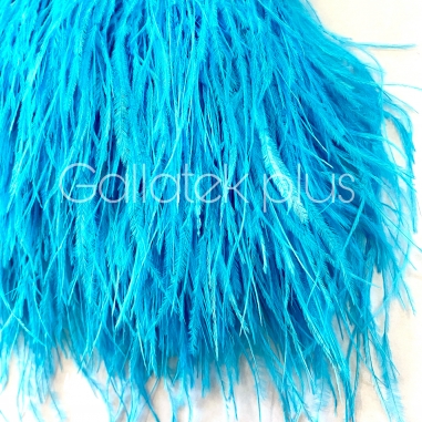 ����� �� ����� 10-15 �� ������