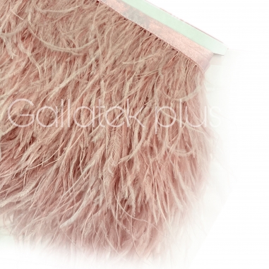 ����� ������� �� ����� ,10-15 �� �������