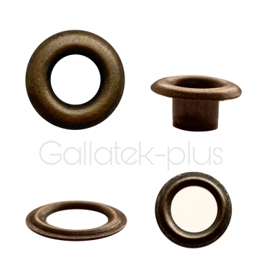 ������� �����