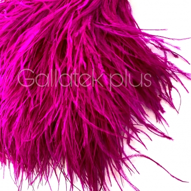 ����� �� ����� 10-15 ��, ������