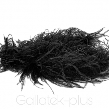 ��� ���� ����� ������