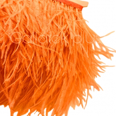 ����� �� ����� 10-15 ��, ���������