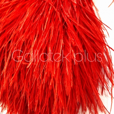 ����� �� ����� 10-15 ��, �������