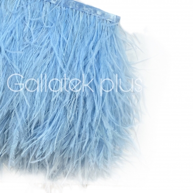 ����� ������� �� ����� , ���� ������� , ��� �� 10 �